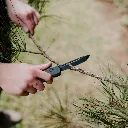 large otf tantoo.webp