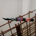 trump lifestyle -2.webp