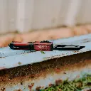 trump lifestyle -1.webp